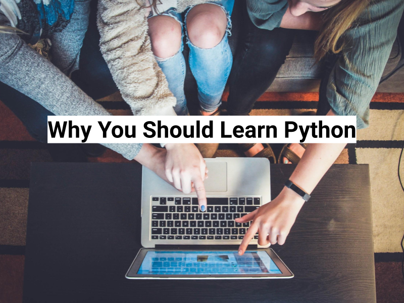 Why You Should Learn Python blog image