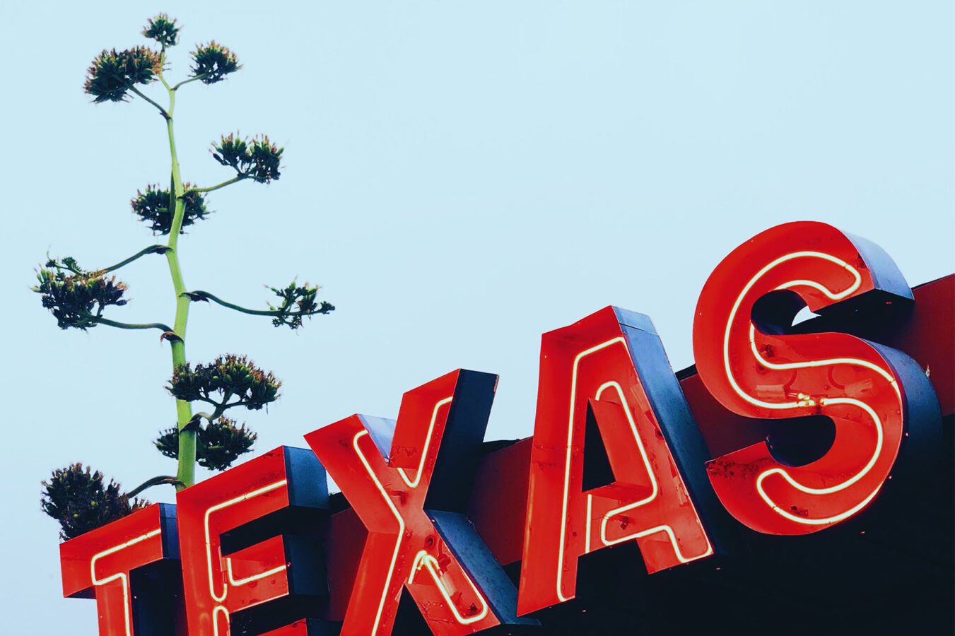 Average Software Engineer Salaries Across Texas Flatiron School