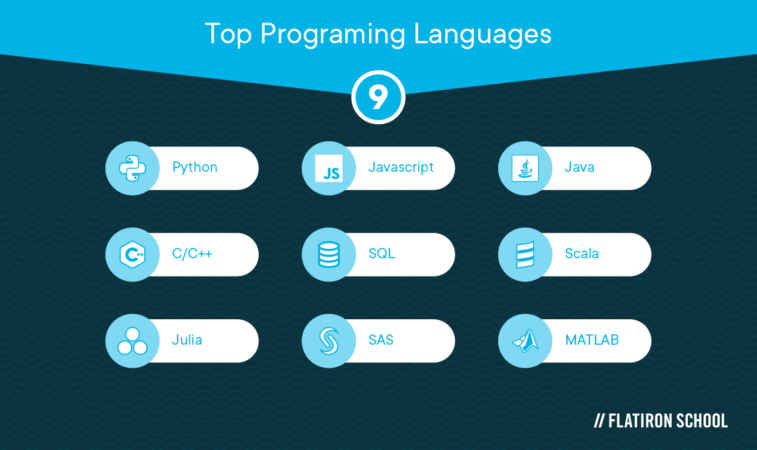 Top Programming Languages