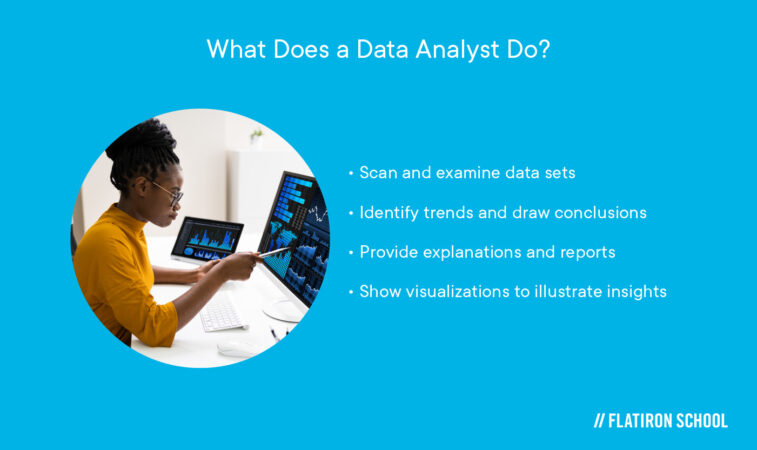 What does a Data Analyst Do?