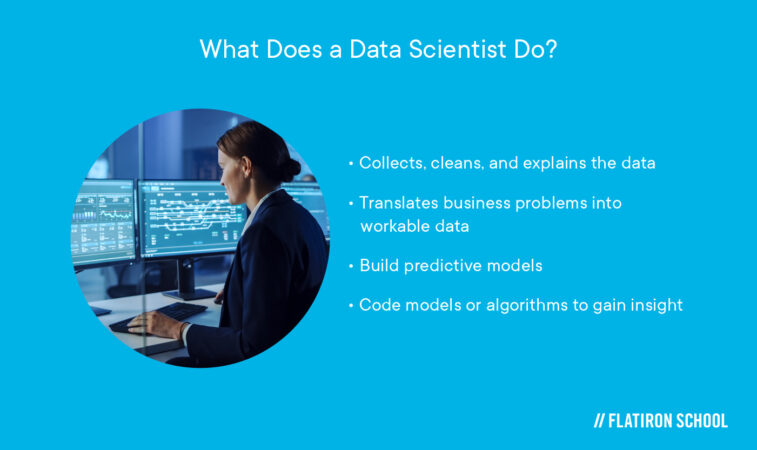 What Does a Data Scientist Do?