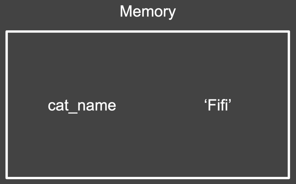Rectangle with the variable label “cat_name” and the value “Fifi”