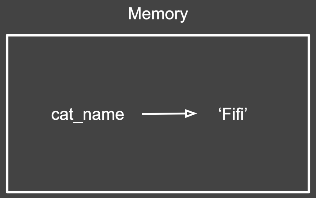 Rectangle showing an arrow going from the variable label “cat_name” to the value “Fifi.”

